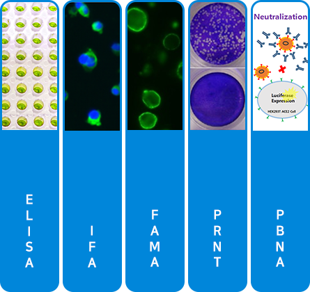 ELISA, IFA, FAMA, PRNT, PBNA
