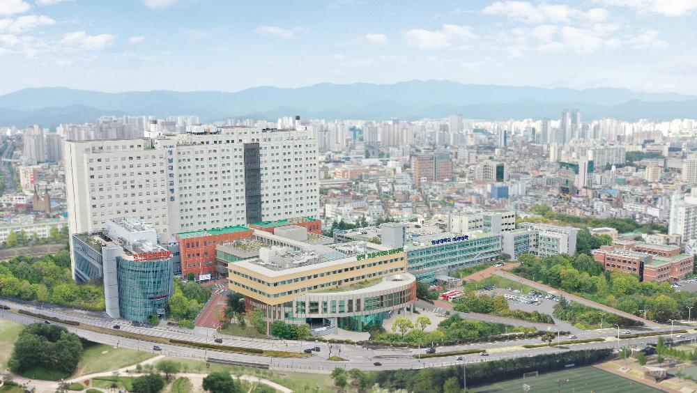 좌측사진