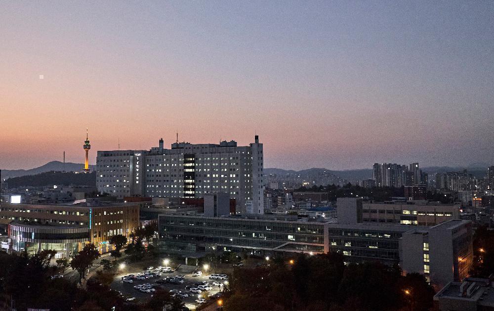 2023 전경