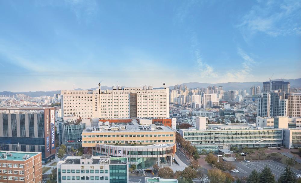 2023 전경