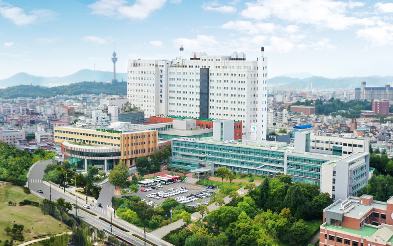 영남대학교의료원 전경
