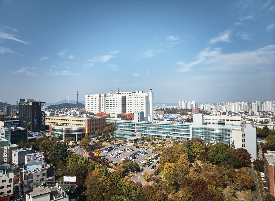 영남대병원 전경