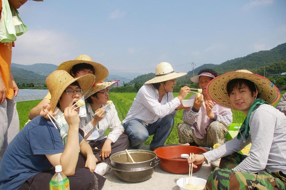 농촌봉사활동 통해 알찬 여름방학 보내다 - 0IMGP5982 이미지