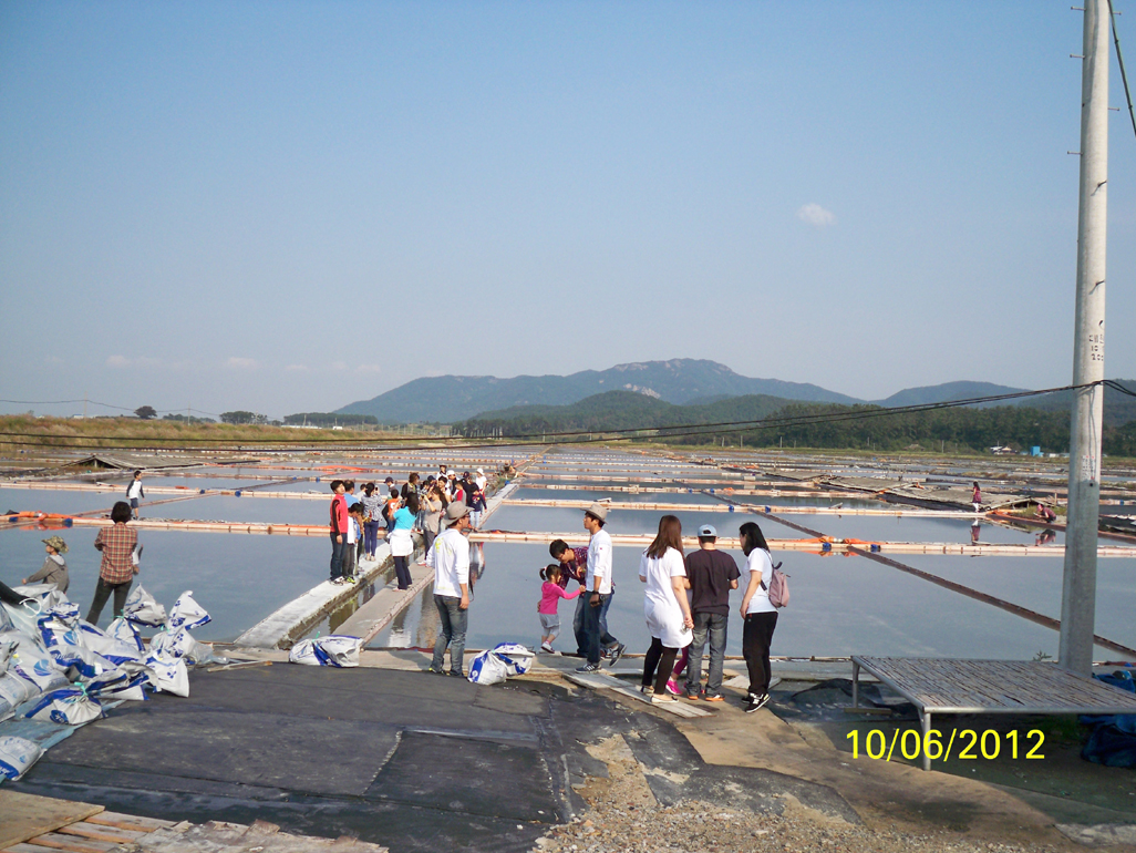 신협 제16회 조합원 가을 견학교육 실시, 2012년 10월 6일, 고창 갯벌체험, 염전, 금강철새 조망대