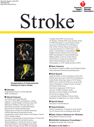 장 성 호 교수의 논문이 표지로 채택된 Stroke 2013년 4월호