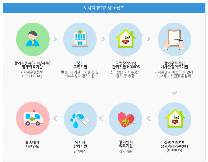 뇌사자 장기기증 흐름도 이미지