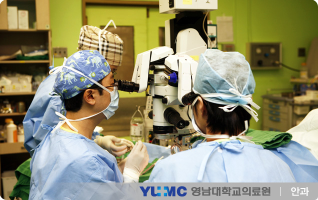 안센터 메인사진