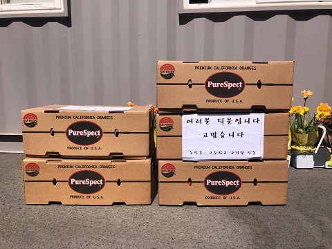20200320_능인중고등학교 교직원(오렌지)