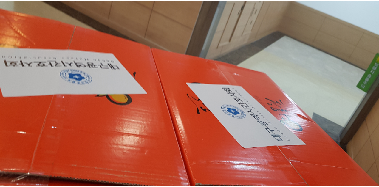 대구광역시간호사회 천혜향 후원
