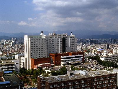 병원 전경 사진