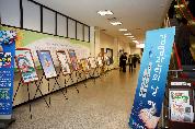 제6회 감염관리의 날 기념 보드전시회 개최 - 감염관리 이미지