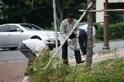 병원 외곽지 청소 실시